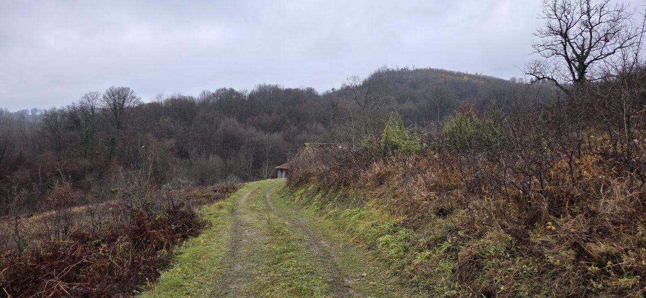 20251119 Sparednjak 06