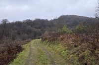 20251119 Sparednjak 06