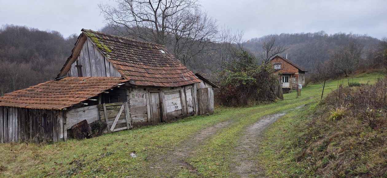 20251119 Sparednjak 07