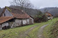 20251119 Sparednjak 07