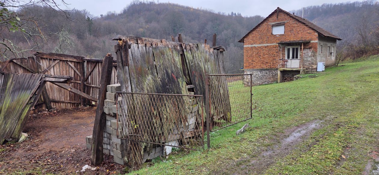 20251119 Sparednjak 08