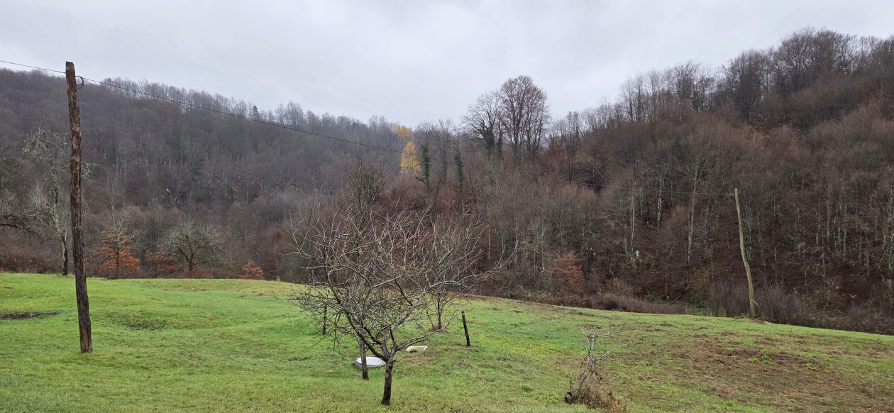 20251119 Sparednjak 09