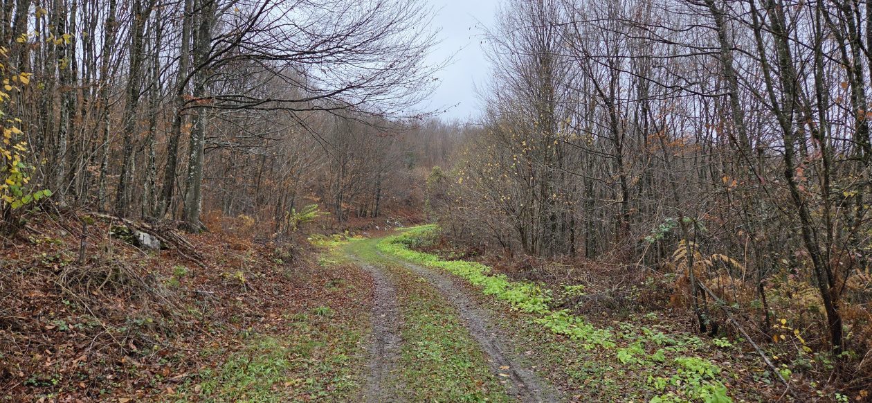 20251119 Sparednjak 10