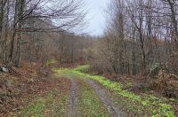 20251119 Sparednjak 10