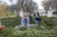 20251120 Karlovac 01 (foto Igor Čepurkovski) slaganje adventskog vijenca 20251120 Karlovac 01 (foto Igor Čepurkovski) slaganje adventskog vijenca