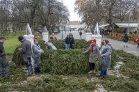 20251120 Karlovac 02 (foto Igor Čepurkovski) slaganje adventskog vijenca 20251120 Karlovac 02 (foto Igor Čepurkovski) slaganje adventskog vijenca