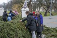 20251120 Karlovac 03 (foto Igor Čepurkovski) slaganje adventskog vijenca 20251120 Karlovac 03 (foto Igor Čepurkovski) slaganje adventskog vijenca
