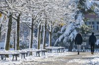 20251123 karlovačkim ulicama snijeg (12) 20251123 karlovačkim ulicama snijeg (12)