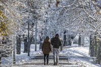 20251123 karlovačkim ulicama snijeg (13) 20251123 karlovačkim ulicama snijeg (13)