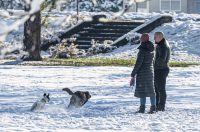 20251123 karlovačkim ulicama snijeg (14) 20251123 karlovačkim ulicama snijeg (14)