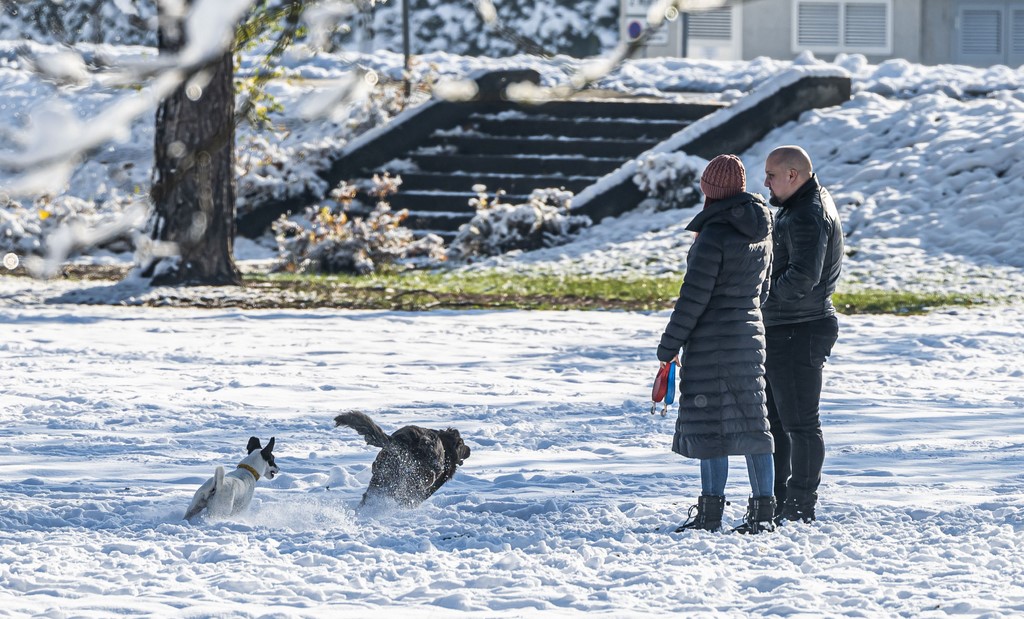 20251123 karlovačkim ulicama snijeg (14) 20251123 karlovačkim ulicama snijeg (14)