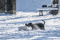 20251123 karlovačkim ulicama snijeg (15) 20251123 karlovačkim ulicama snijeg (15)