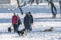 20251123 karlovačkim ulicama snijeg (16) 20251123 karlovačkim ulicama snijeg (16)