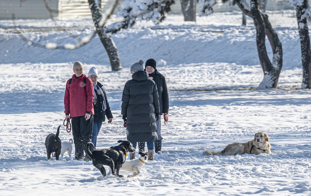20251123 karlovačkim ulicama snijeg (16) 20251123 karlovačkim ulicama snijeg (16)