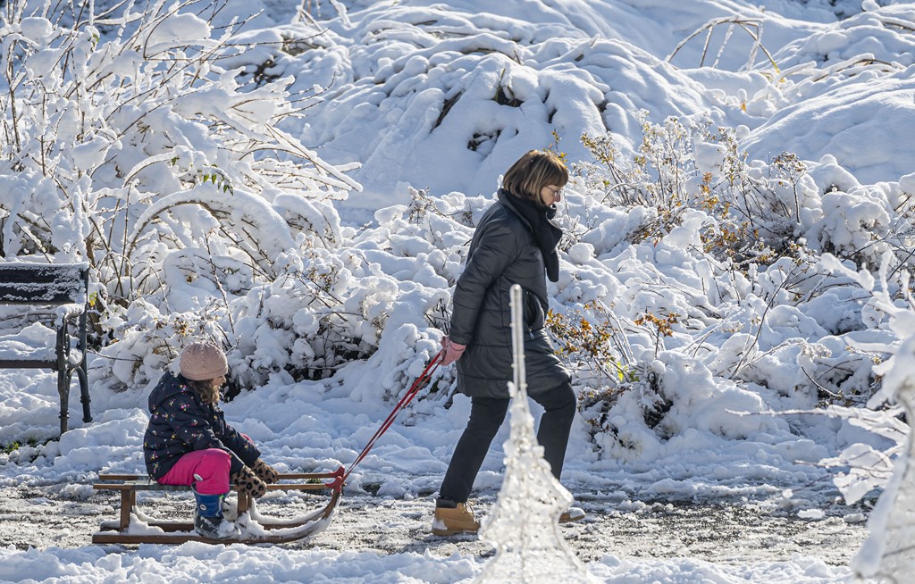 20251123 karlovačkim ulicama snijeg (2) 20251123 karlovačkim ulicama snijeg (2)