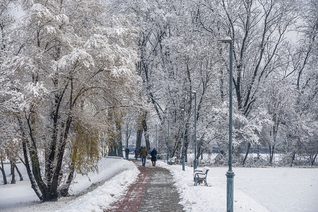 20251123 karlovačkim ulicama snijeg (20) 20251123 karlovačkim ulicama snijeg (20)