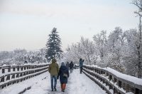 20251123 karlovačkim ulicama snijeg (22) 20251123 karlovačkim ulicama snijeg (22)