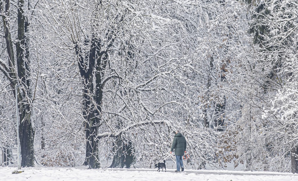 20251123 karlovačkim ulicama snijeg (24) 20251123 karlovačkim ulicama snijeg (24)