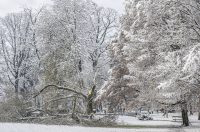 20251123 karlovačkim ulicama snijeg (26) 20251123 karlovačkim ulicama snijeg (26)