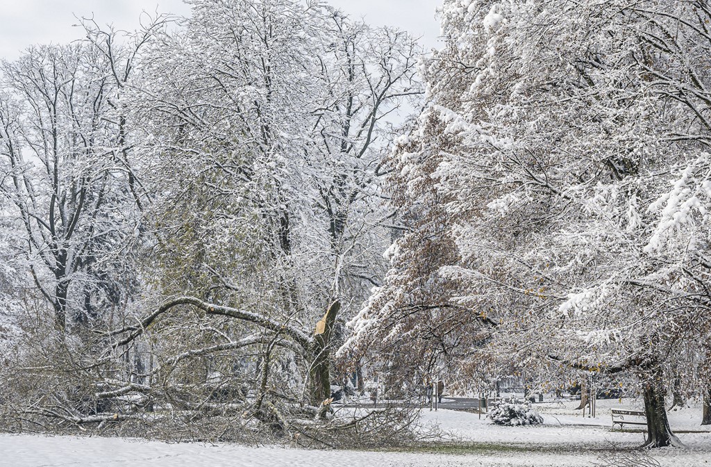 20251123 karlovačkim ulicama snijeg (26) 20251123 karlovačkim ulicama snijeg (26)
