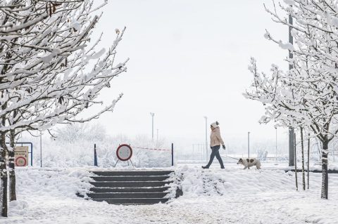 20251123 karlovačkim ulicama snijeg (27)