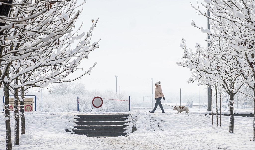 20251123 karlovačkim ulicama snijeg (27) 20251123 karlovačkim ulicama snijeg (27)