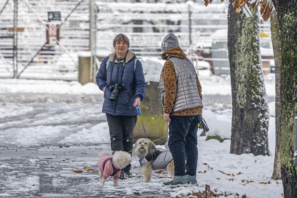 20251123 karlovačkim ulicama snijeg (29) 20251123 karlovačkim ulicama snijeg (29)
