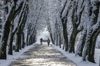 20251123 karlovačkim ulicama snijeg (31) 20251123 karlovačkim ulicama snijeg (31)