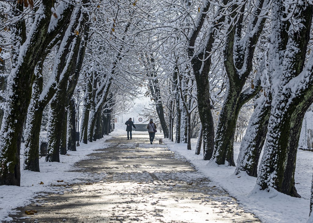 20251123 karlovačkim ulicama snijeg (31) 20251123 karlovačkim ulicama snijeg (31)