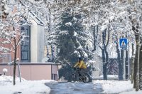 20251123 karlovačkim ulicama snijeg (34) 20251123 karlovačkim ulicama snijeg (34)