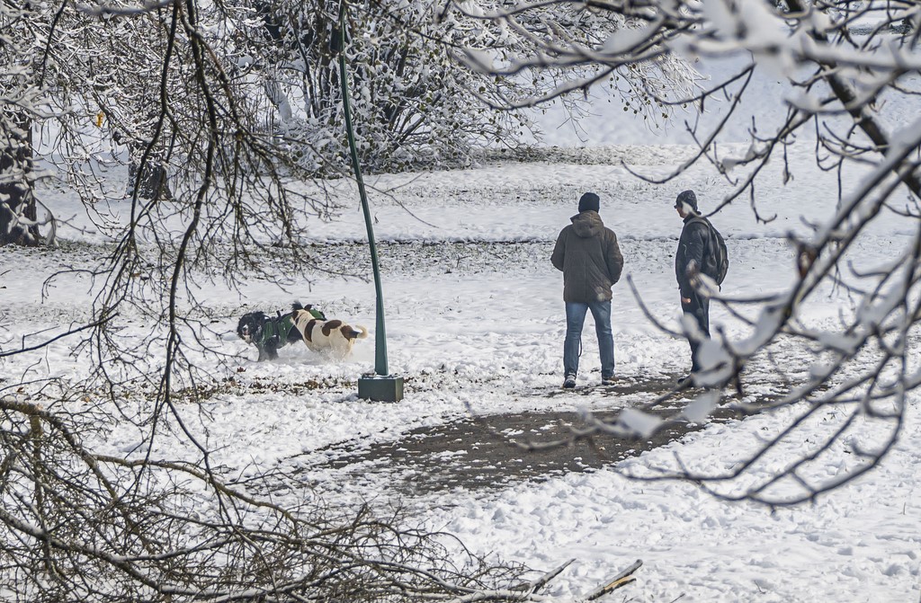 20251123 karlovačkim ulicama snijeg (35) 20251123 karlovačkim ulicama snijeg (35)