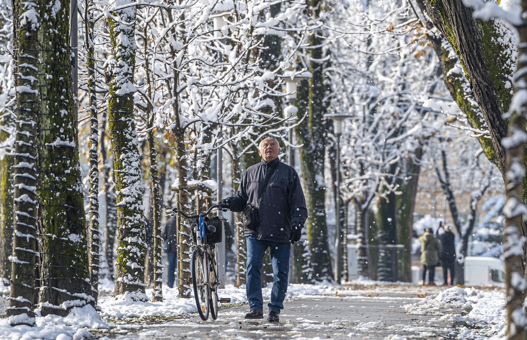 20251123 karlovačkim ulicama snijeg (38) 20251123 karlovačkim ulicama snijeg (38)