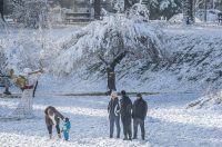 20251123 karlovačkim ulicama snijeg (39) 20251123 karlovačkim ulicama snijeg (39)