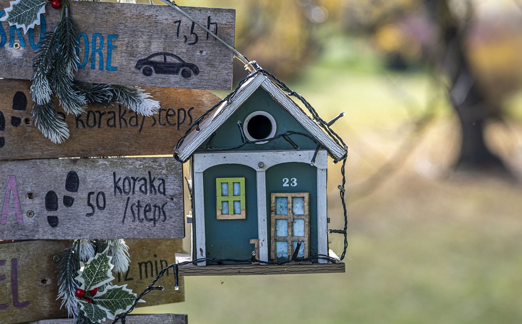 20251128 Karlovačkim ulicama (10)