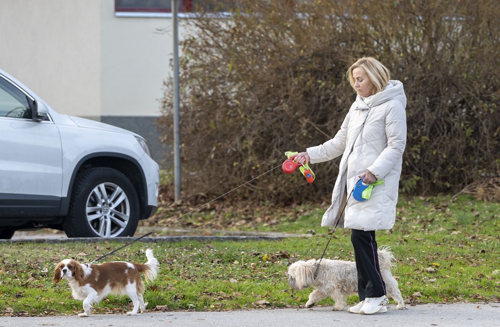 20251128 Karlovačkim ulicama (19)