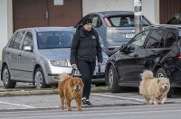 20251128 Karlovačkim ulicama (22)