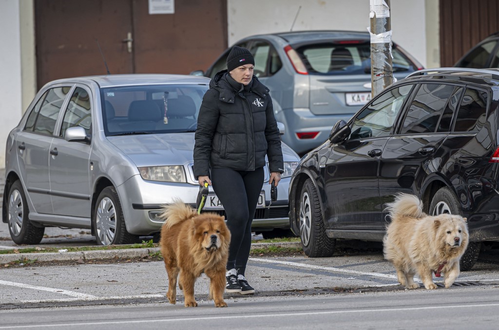 20251128 Karlovačkim ulicama (22)