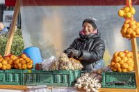 20251128 Karlovačkim ulicama (29)