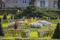 20251128 Karlovačkim ulicama (39)