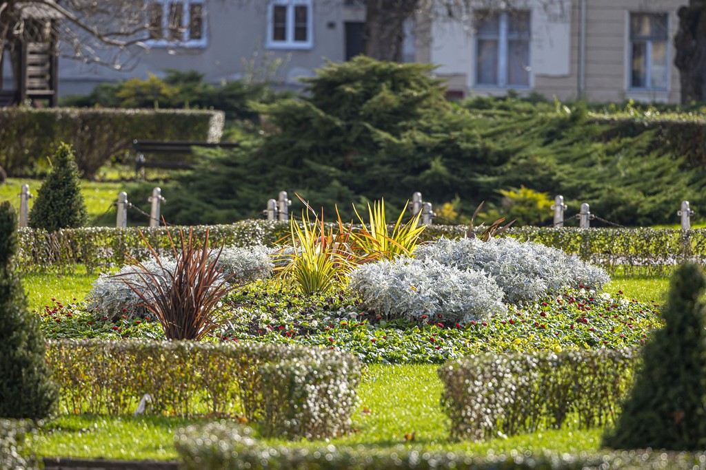 20251128 Karlovačkim ulicama (39)