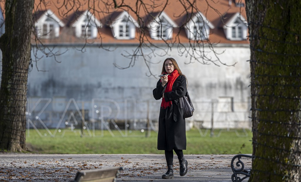 20251128 Karlovačkim ulicama (40)