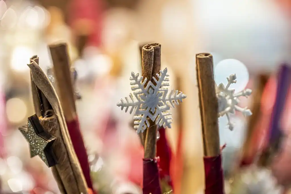 20251912 Advent u Karlovcu (foto Igor Čepurkovski) 23