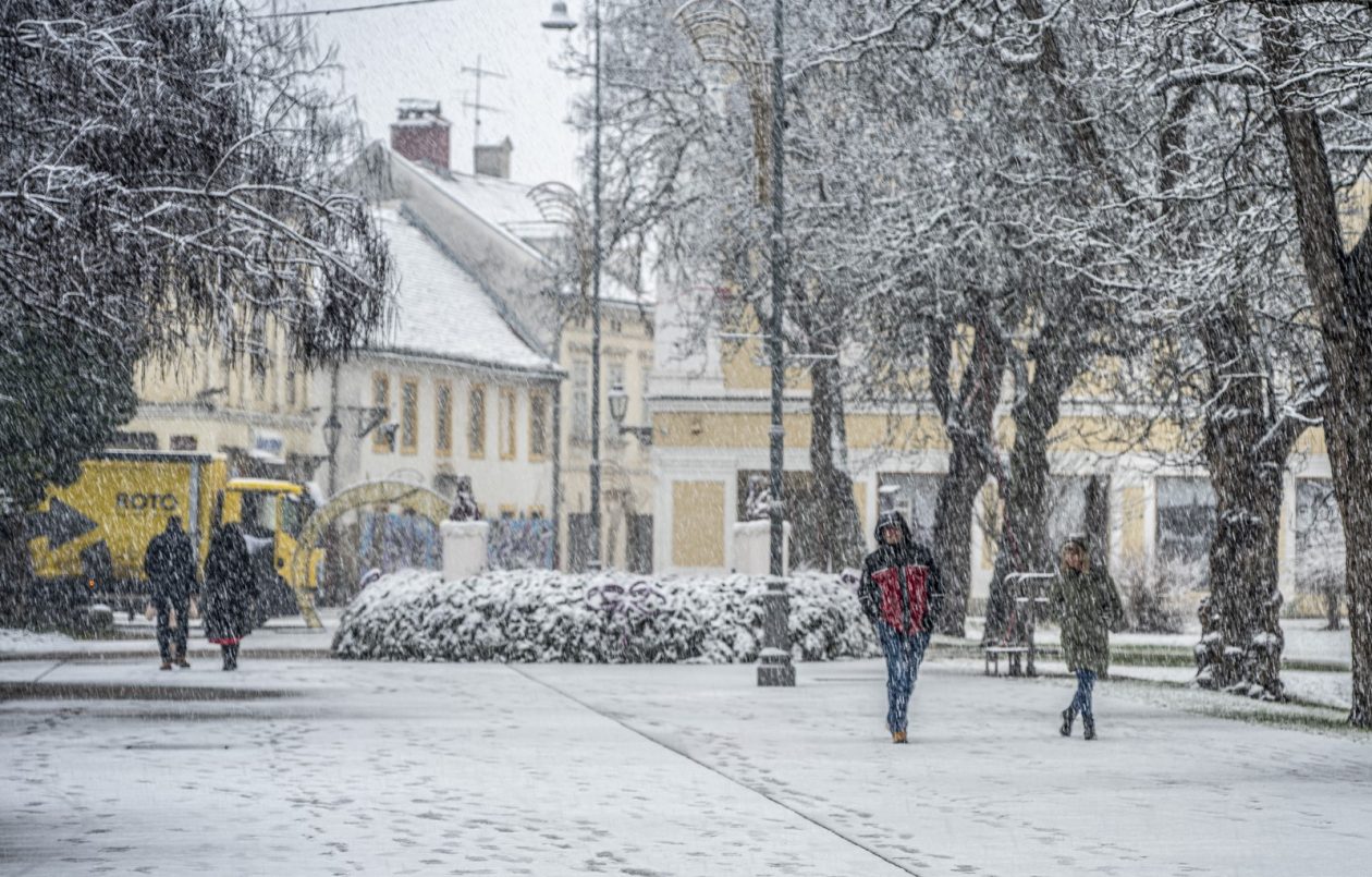 20252412 badnjak (10)