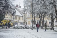 20252412 badnjak (10)