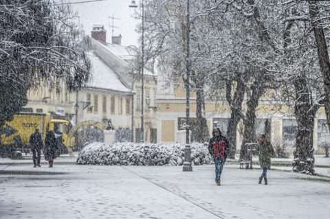 20252412 badnjak (10)