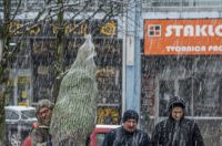 20252412 badnjak (16)