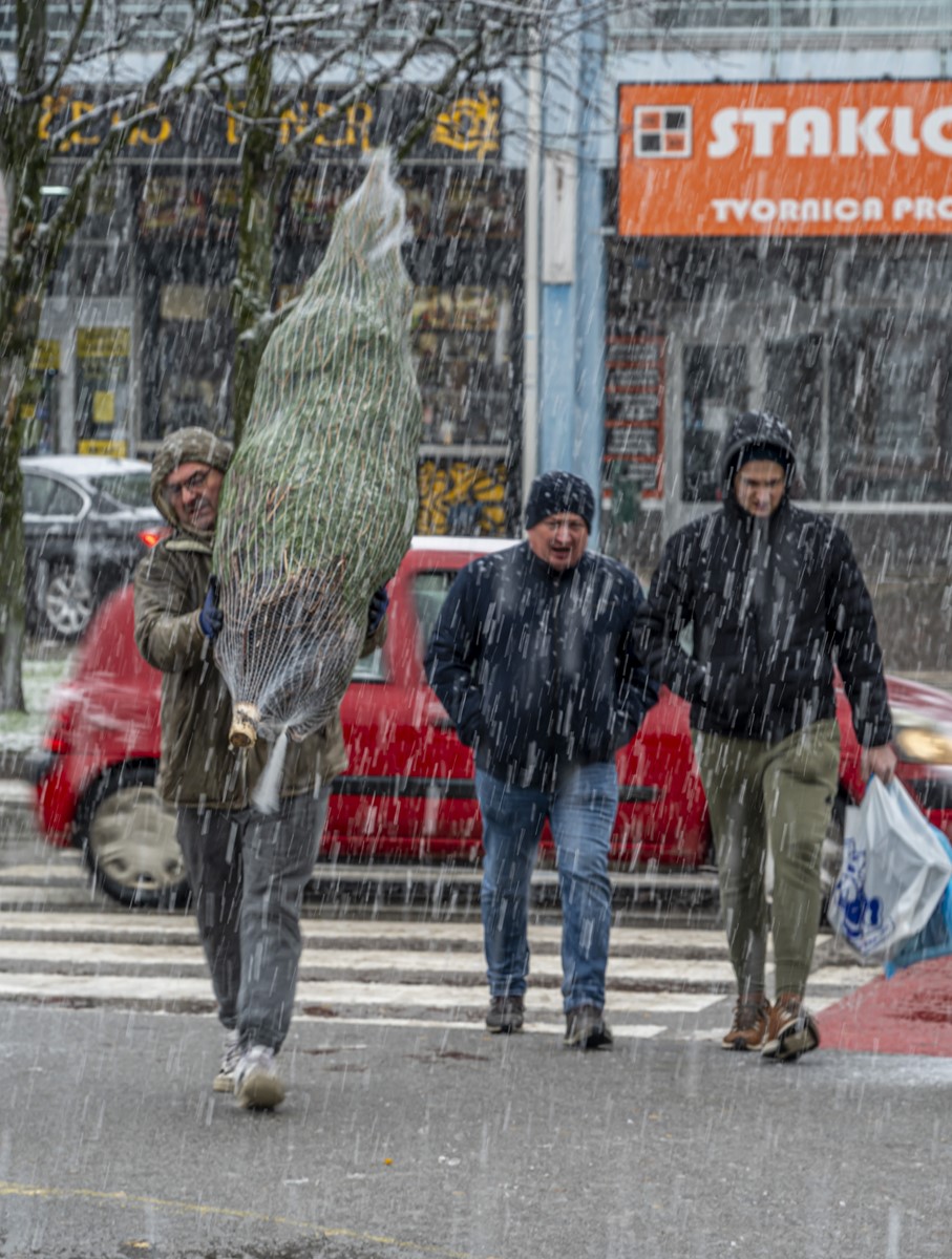 20252412 badnjak (16)