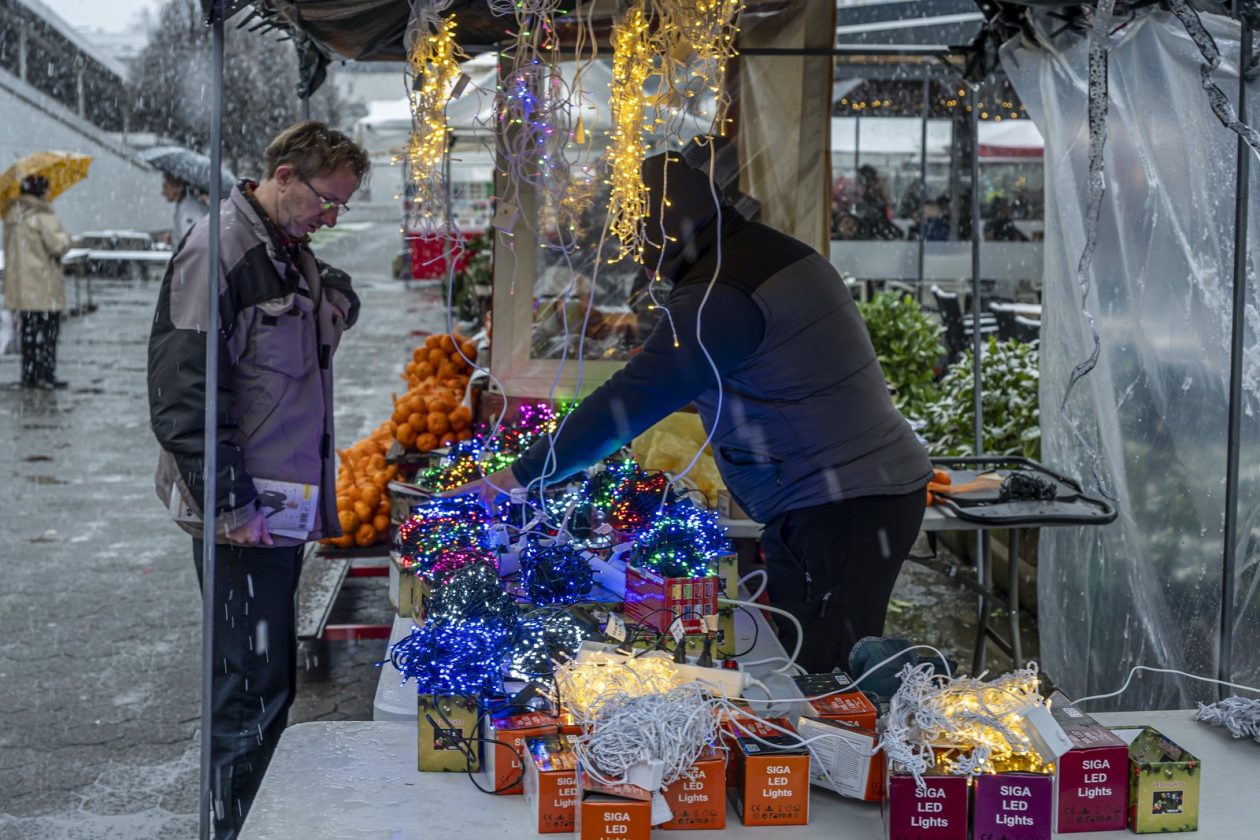 20252412 badnjak (17)