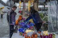 20252412 badnjak (17)