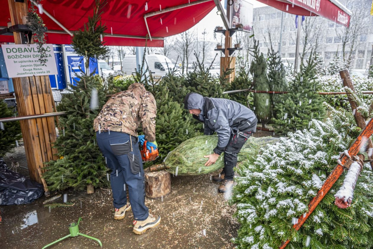 20252412 badnjak (18)